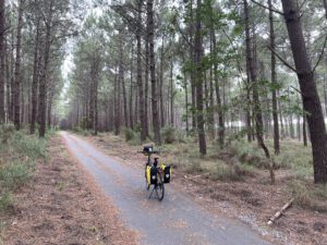 EuroVelo 1 hinter den Dünen