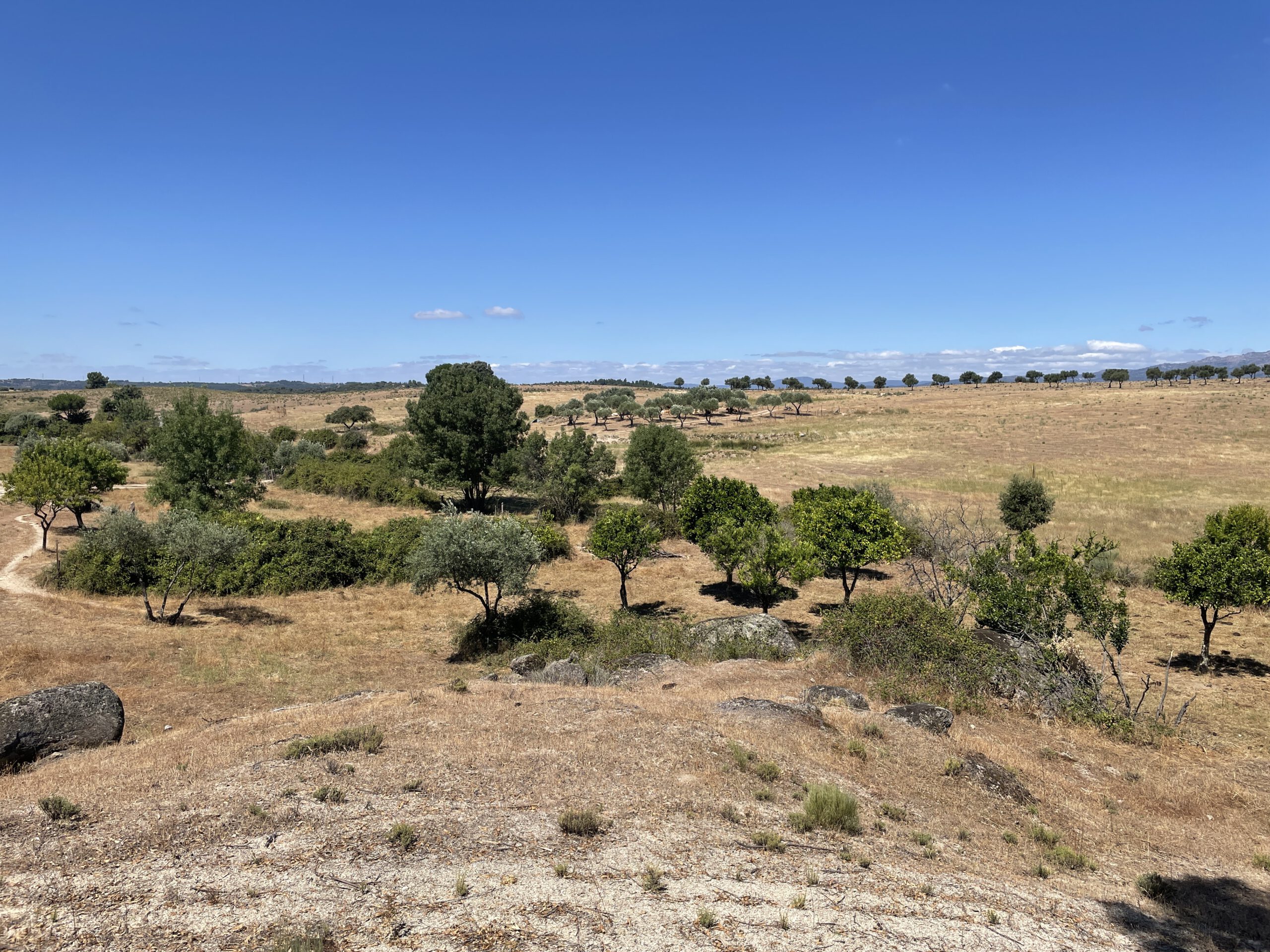 Tour nach Castelo Branco